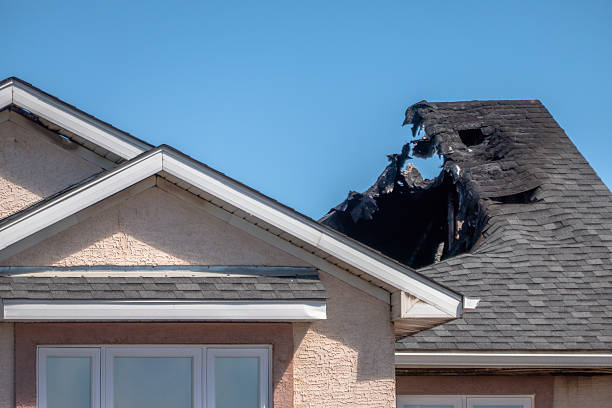 Top rated local Fire Damage Removal specialists in Champlin, MN
